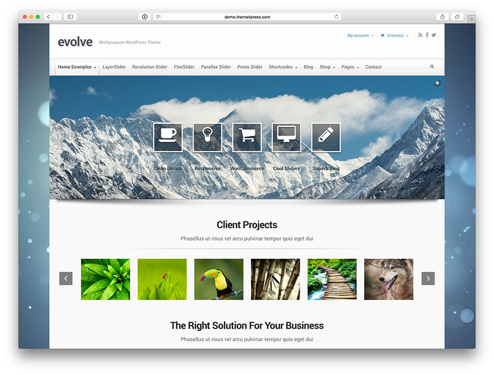 evolve portfolio theme