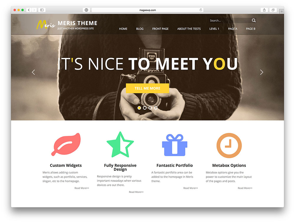 Meris corporate theme